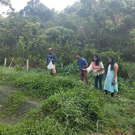 Friends Valley Home Stay Kattappana Buitenkant foto