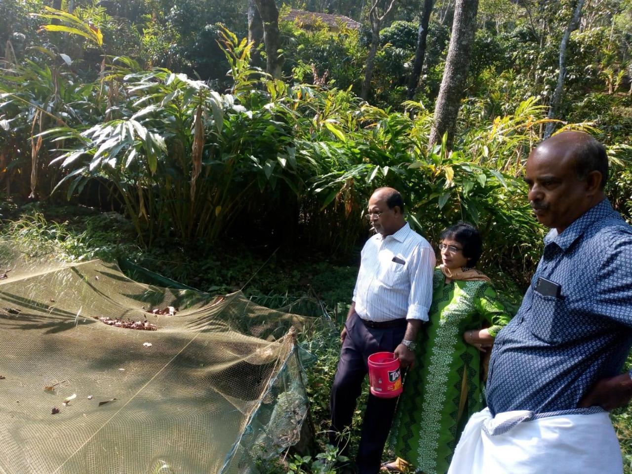 Friends Valley Home Stay Kattappana Buitenkant foto