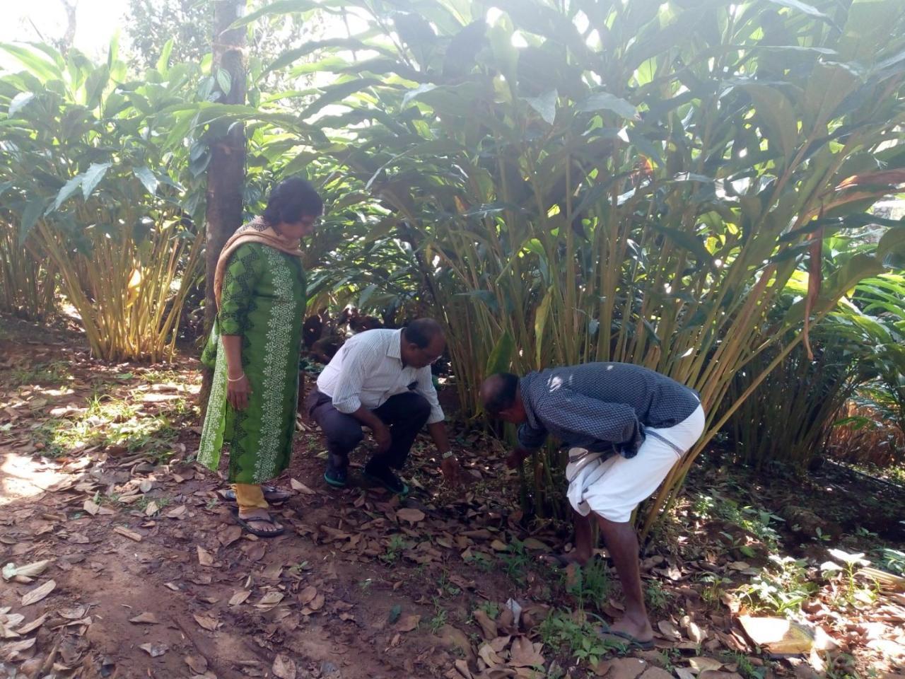 Friends Valley Home Stay Kattappana Buitenkant foto