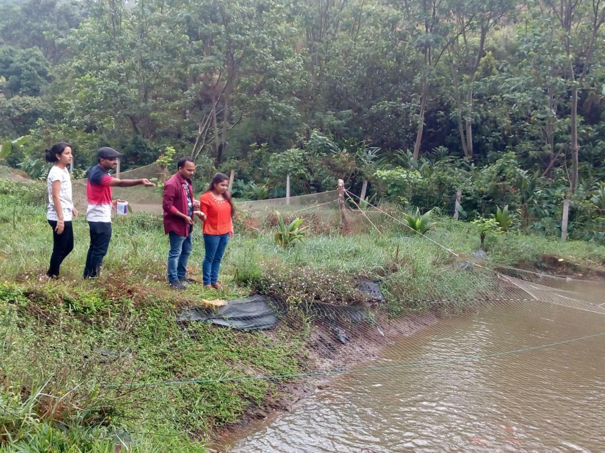 Friends Valley Home Stay Kattappana Buitenkant foto
