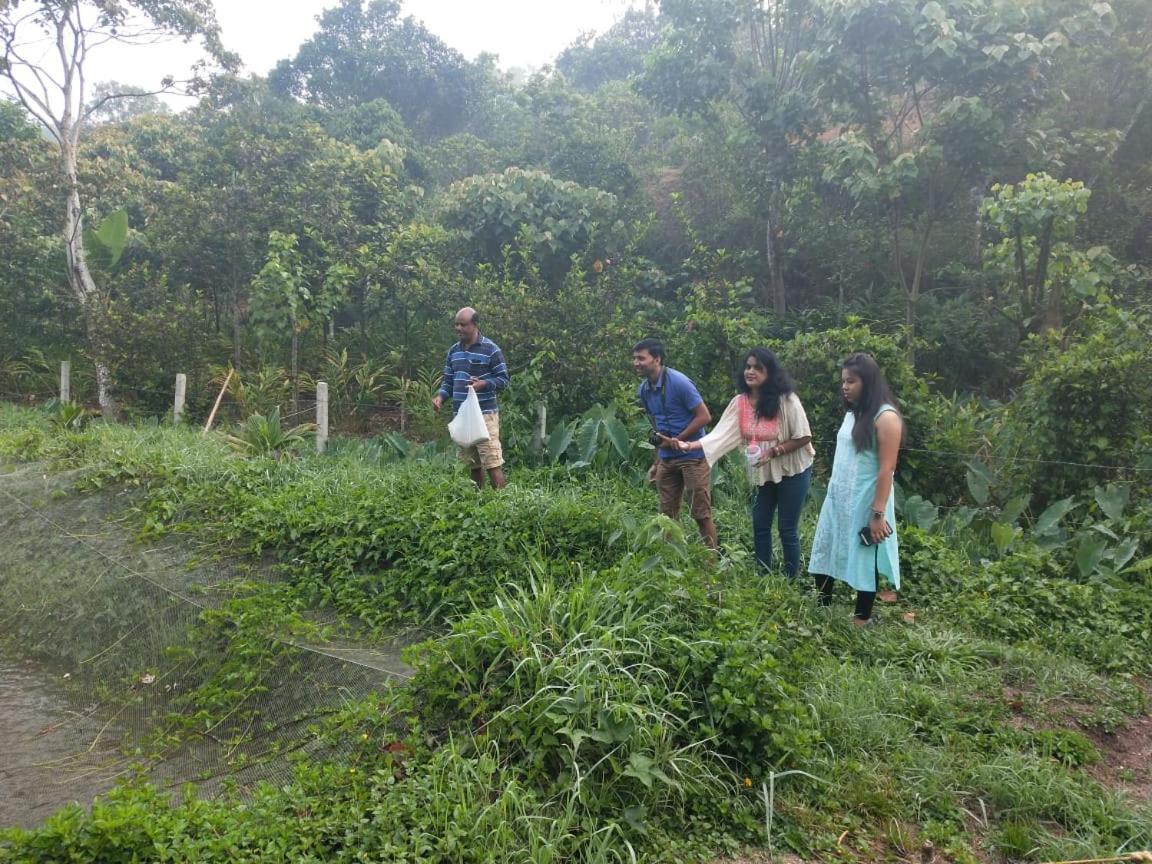 Friends Valley Home Stay Kattappana Buitenkant foto